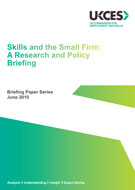 Briefing Paper Skills and the Small Firm
