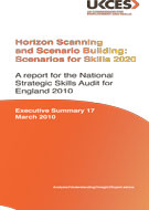 evidence report 17 executive summary