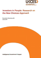 Evidence report 28 Executive summary