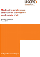 Evidence report 34 executive summary