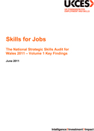 National Strategic Skills Audit - Wales. Executive Summary